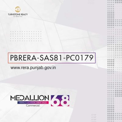 WhatsApp Image 2025-03-16 at 00.03.39 (1)